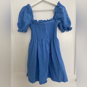 Hill house hydrangea blue mini Scarlett xs